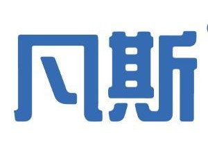 绿色先锋，上海凡斯环保技术咨询有限公司引领可持续发展浪潮