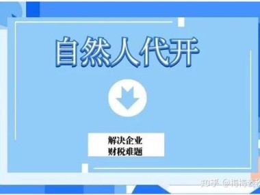 个人开展技术咨询业务开票全攻略，流程详解、税务要点与优惠解析