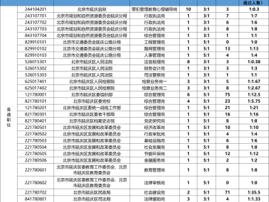 京考通关热线,专业技术咨询,助您轻松应对京考挑战