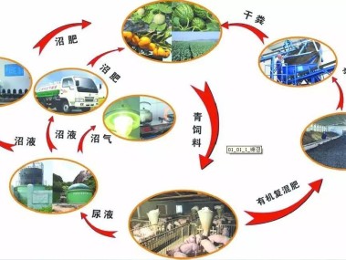 绿色农业发展,有机种植技术咨询全攻略