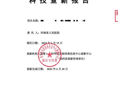 技术咨询费用承担与支付解析，责任归属与处理方式