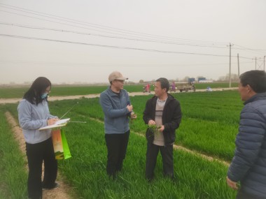 鲢鳙养殖专家热线，助您增产增收，共促行业可持续发展