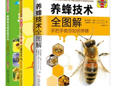 养蜂技术咨询合同要点解析与签订全攻略