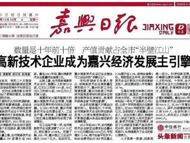 嘉兴，技术革新引擎，全方位技术咨询助力企业腾飞